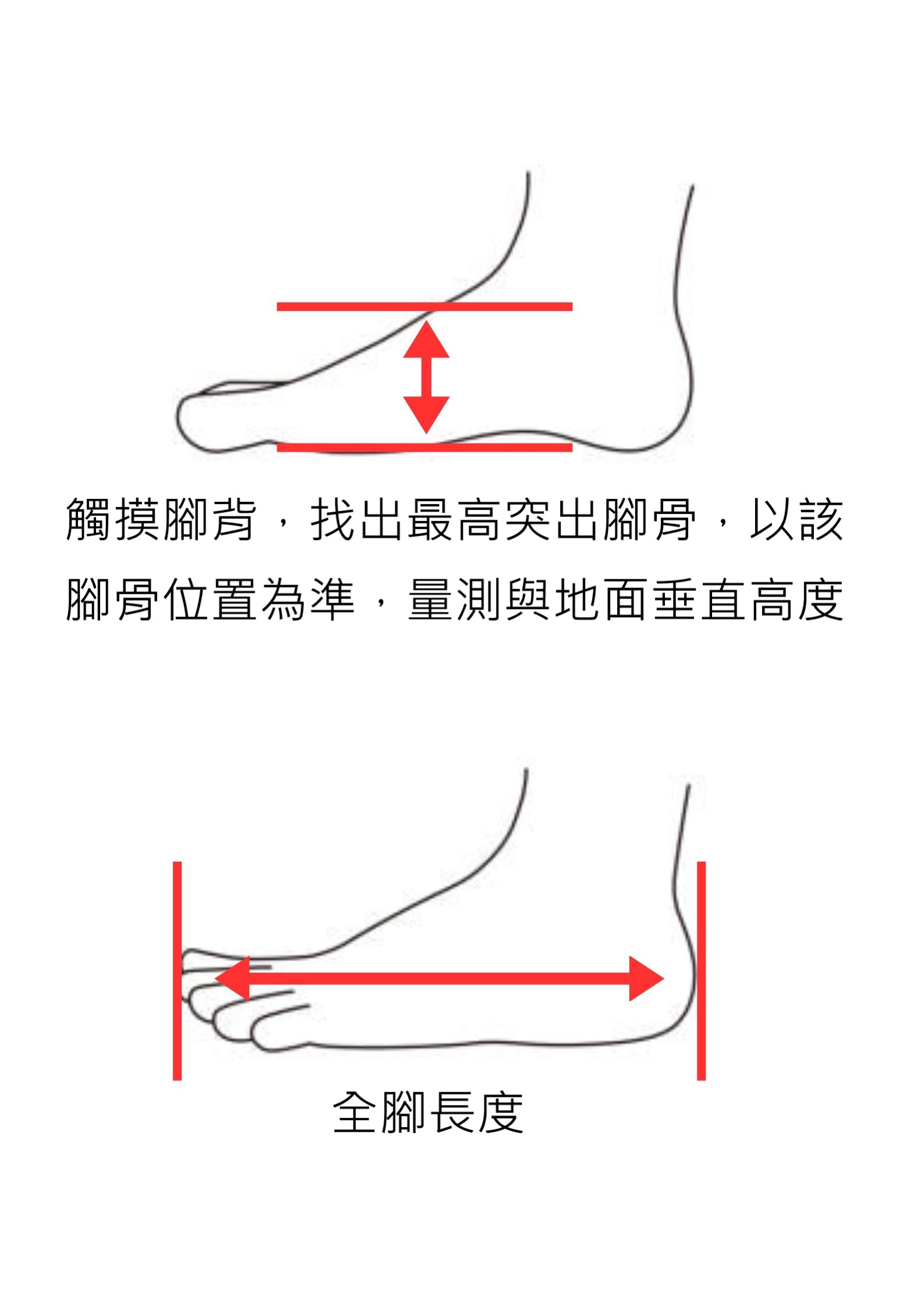 腳量尺寸說明
